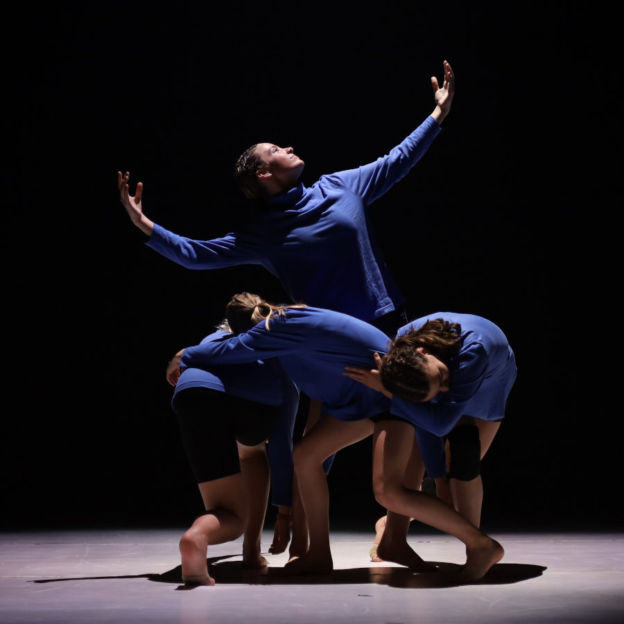De Vos Dance Studio's - Dansles - Modern Contemporary / Jazz Ballet