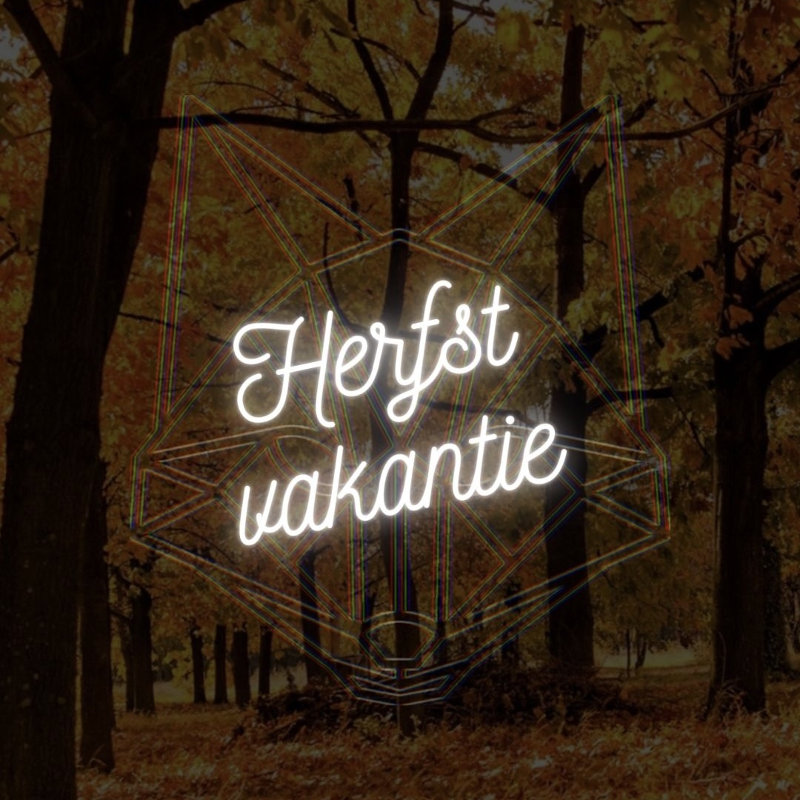 De Vos Dance Studio's - Agenda - Herstvakantie