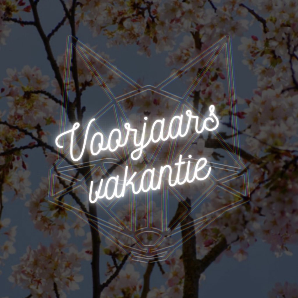 voorjaarsvakantie-agenda-devosdancestudios