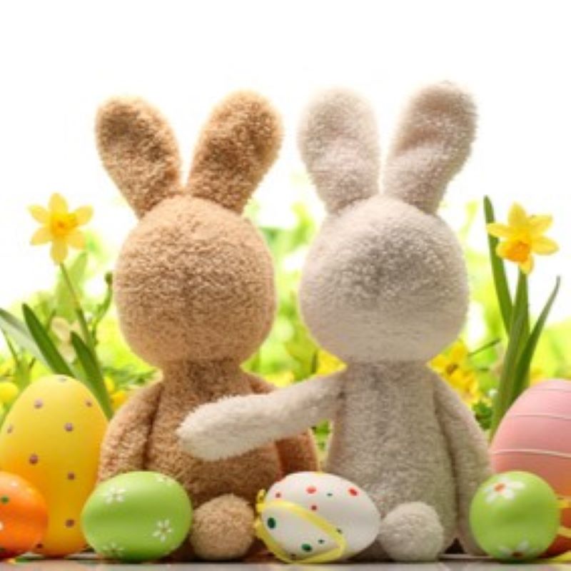 De Vos Dance Studio's - Agenda - Pasen